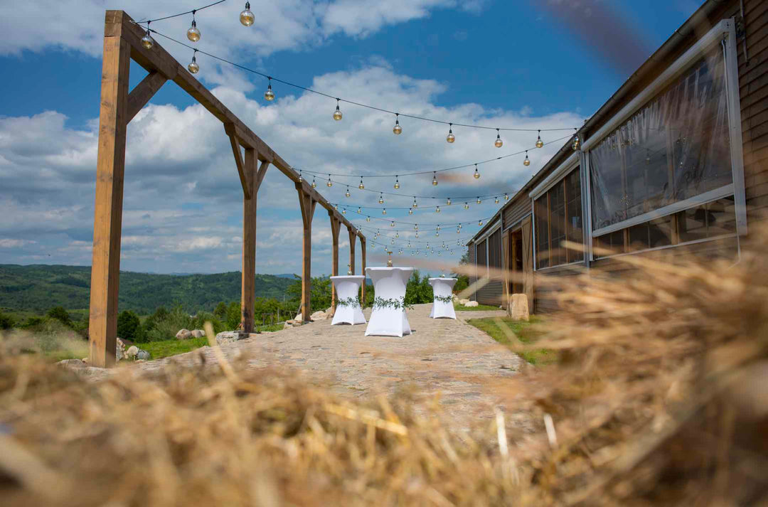 Descoperă farmecul unui Destination Wedding la Potcoava
