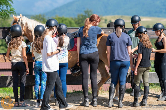Loc în taberele Haidook Summer Camps