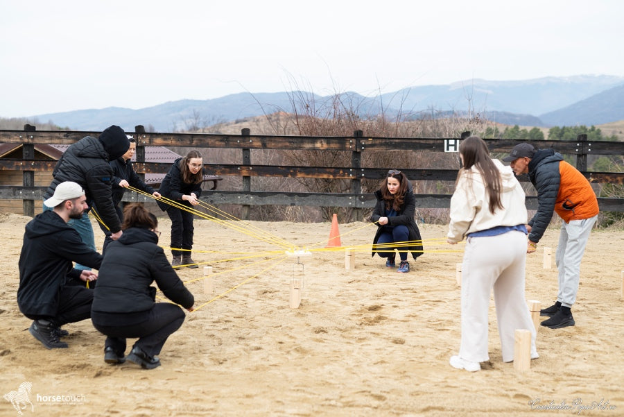 Experiențe de team development by HorseDream Romania
