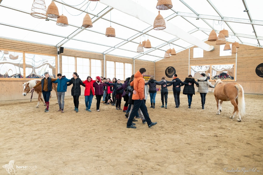 HORSETOUCH – Fierarul și calul fermecat
