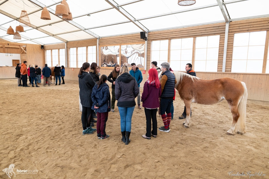 HORSETOUCH – Fierarul și calul fermecat