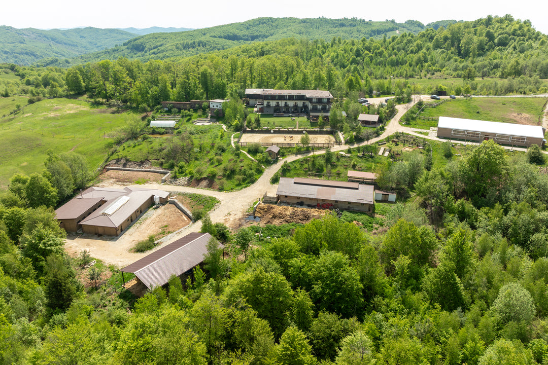 Reset la munte - sejur 2 nopti