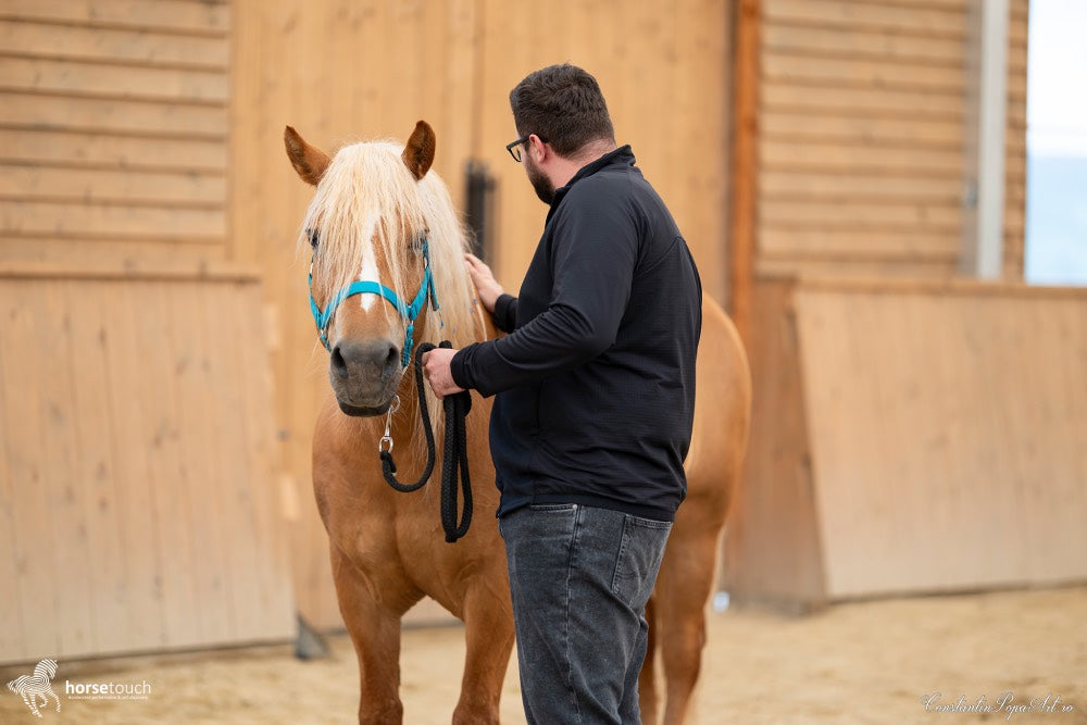 Experiențe de team development by HorseDream Romania