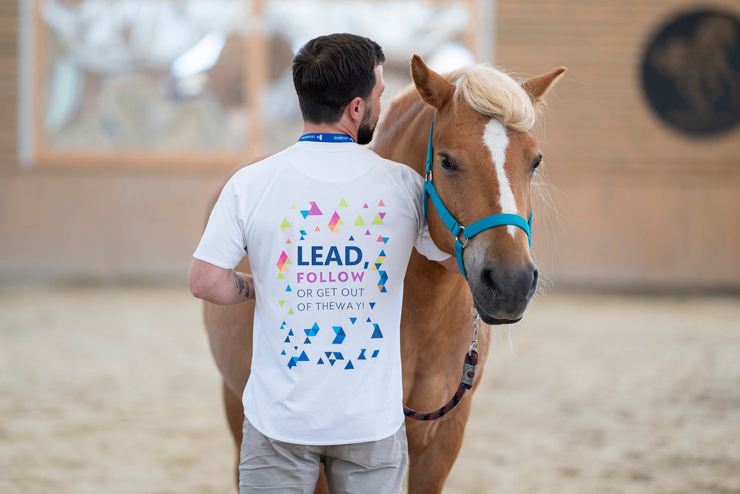 Experiențe de team development by HorseDream Romania