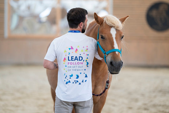 Experiențe de team development by HorseDream Romania