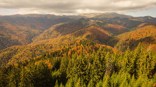 Reset la munte - sejur 2 nopti