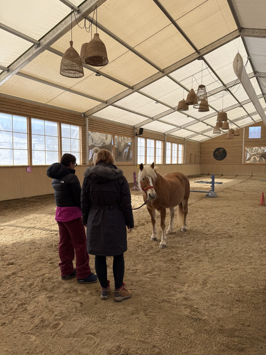Weekend părinte–adolescent - Atelier de perspective cu cai