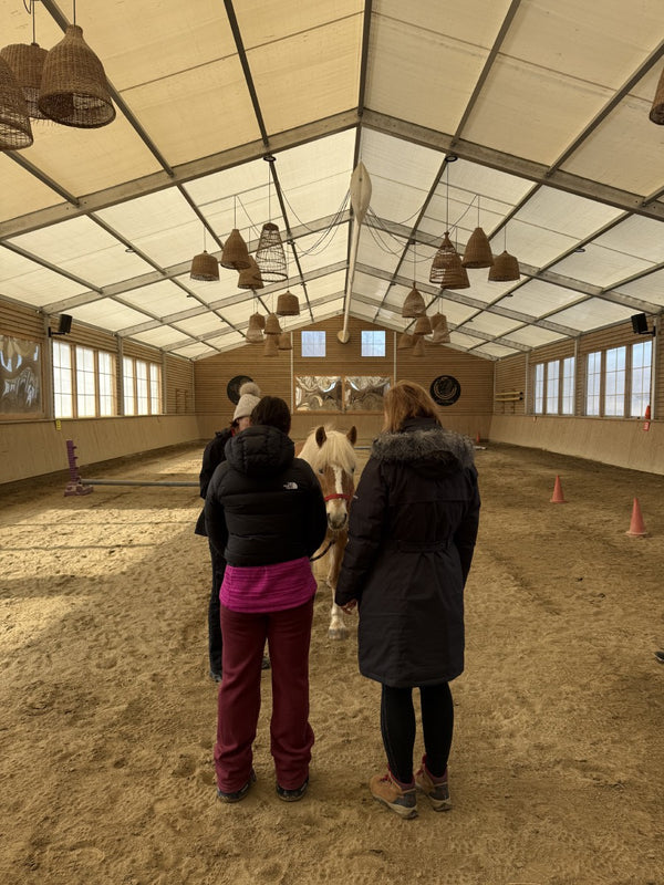 Weekend părinte–adolescent - Atelier de perspective cu cai