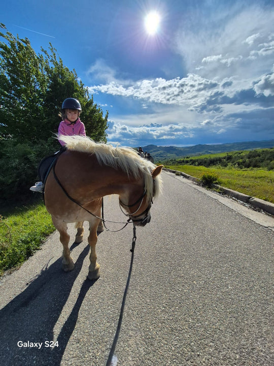 Weekend "Prima mea urcare în șa" la Potcoava