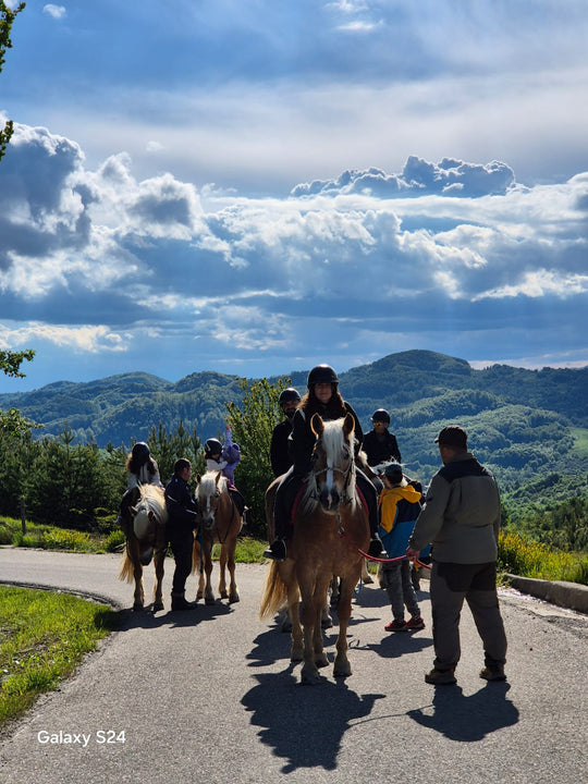 Weekend "Prima mea urcare în șa" la Potcoava
