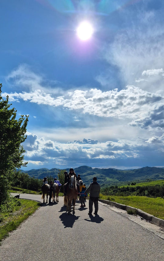 Weekend "Prima mea urcare în șa" la Potcoava