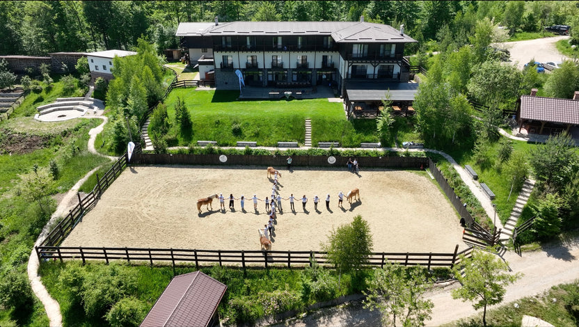 Potcoava Mountain Hideaway