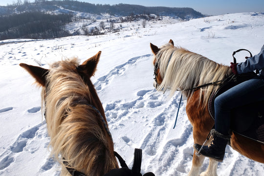 Revelion la Potcoava - sejur 4 nopți 30 decembrie - 3 ianuarie