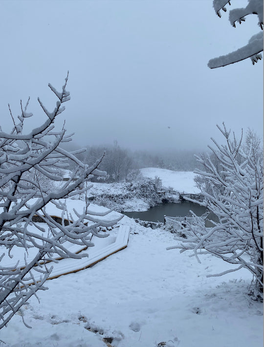 Revelion la Potcoava - sejur 4 nopți 30 decembrie - 3 ianuarie