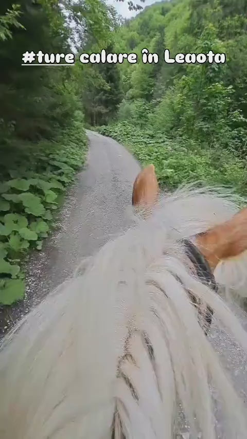Abonament 5 Ture Călare Montane în Leaota