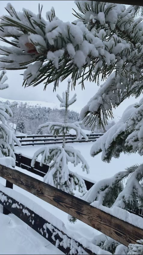 Revelion la Potcoava - sejur 4 nopți 30 decembrie - 3 ianuarie
