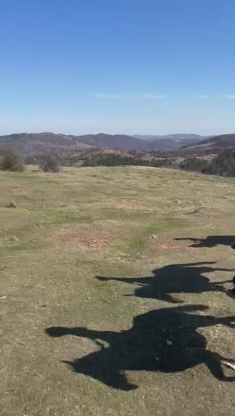 Ride Wild Carpathia - Tură călare montană în munții Leaota