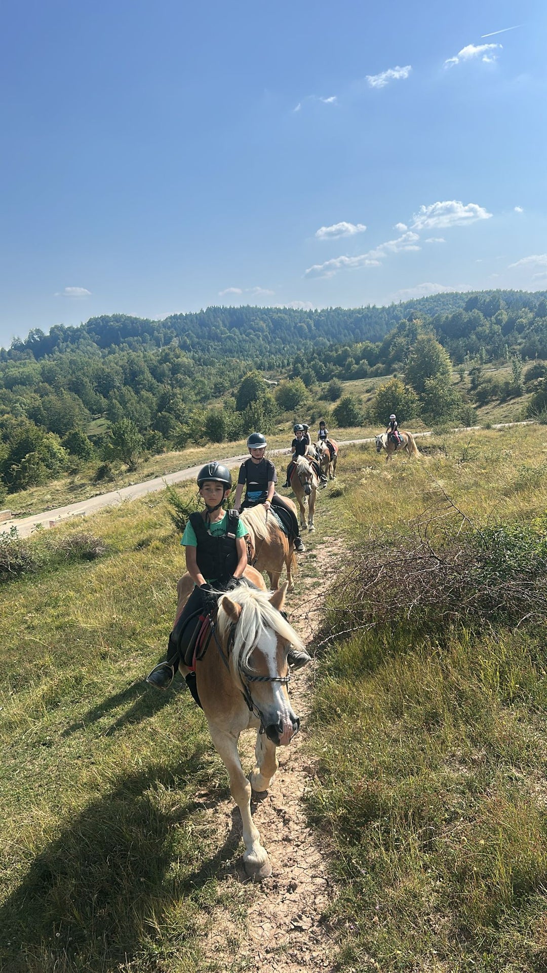 Loc în taberele Haidook Summer Camps