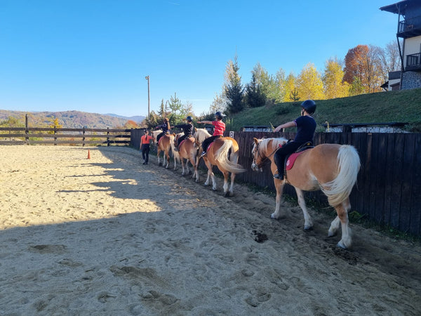 Pachet Inițiere în Echitație – 2 ore