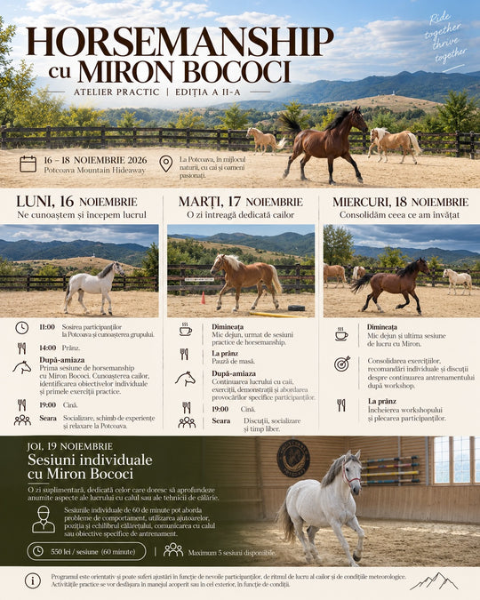 HORSEMANSHIP CU MIRON BOCOCI – EDIȚIA A II-A