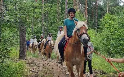 Noutățile verii de la Potcoava – disponibilități în august și evenimente speciale pentru iubitorii de cai și natură