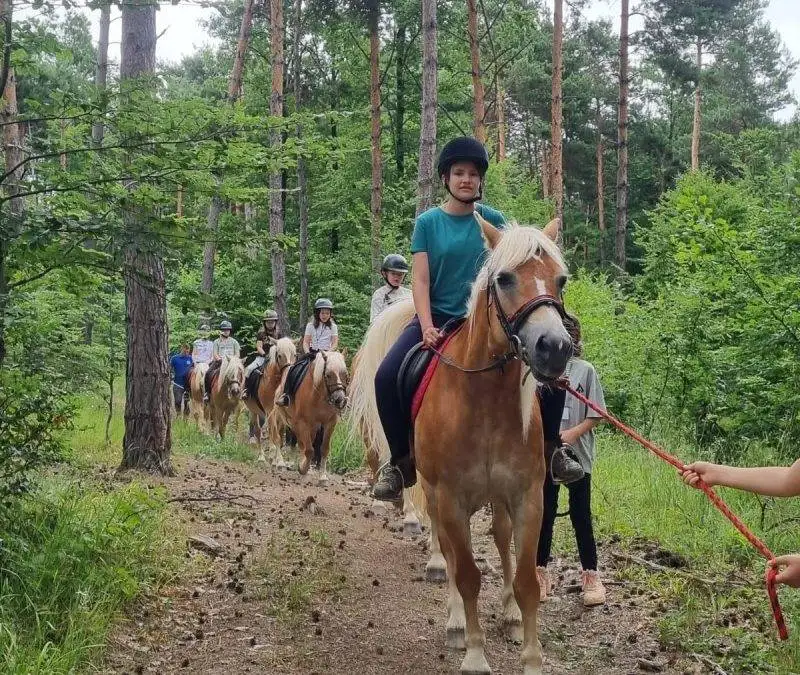 Noutățile verii de la Potcoava – disponibilități în august și evenimente speciale pentru iubitorii de cai și natură